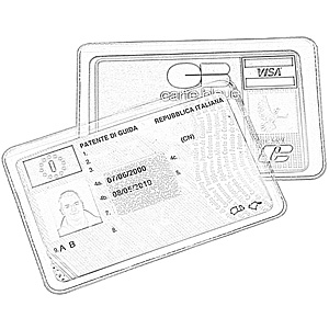 LICENCE AND IDENTITY CARD CASE
