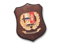MP09 03